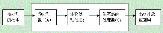 Physicochemical biological ecological method of system applied to sewage advanced treatment