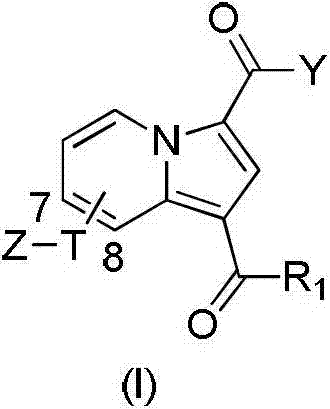 Substituted purrocoline compound and preparation method and application thereof