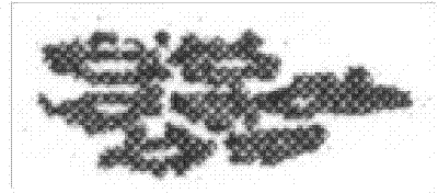 Traditional Chinese medicine for treating cancers and resisting viruses and preparation method thereof