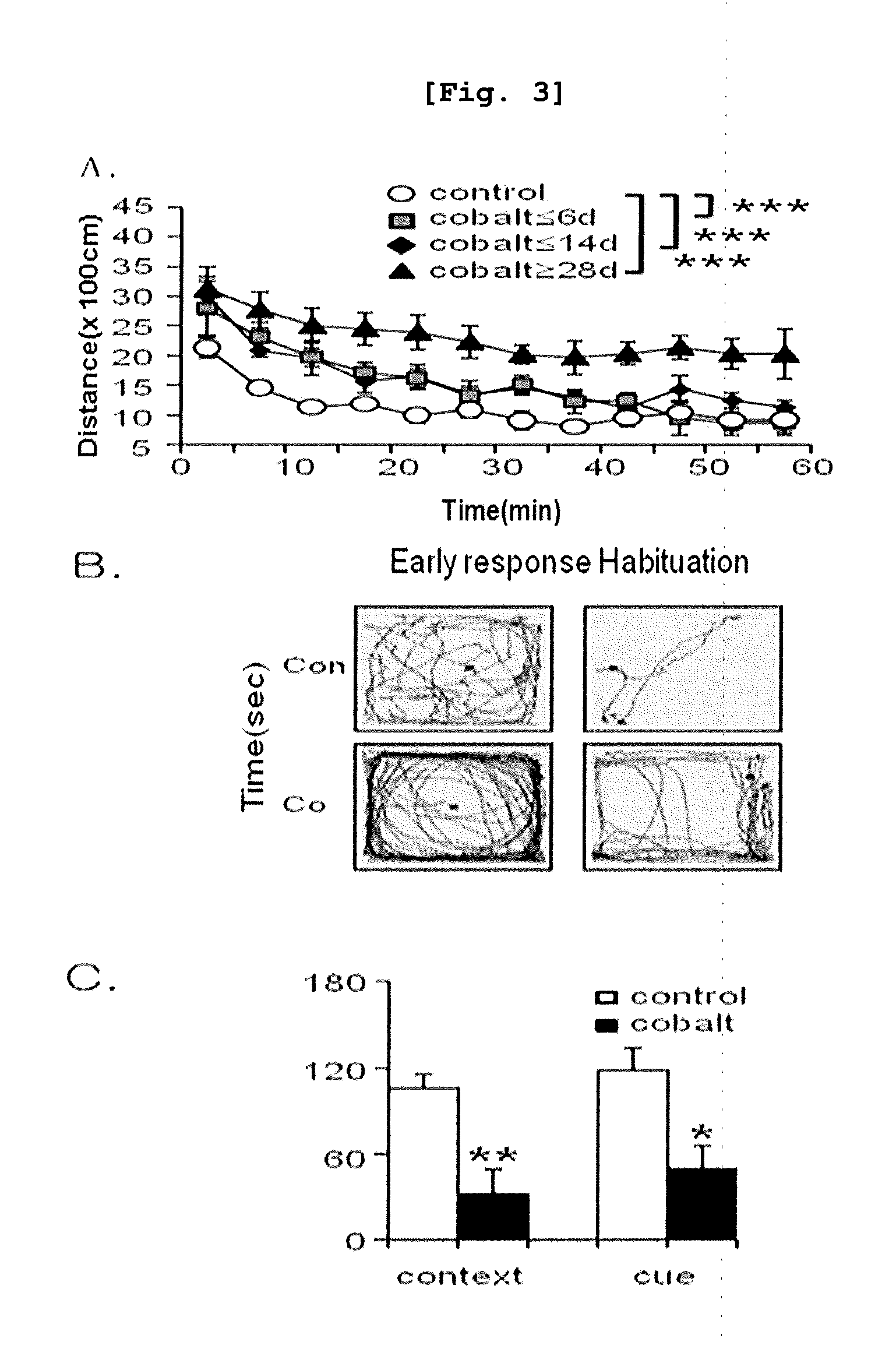 Model Mouse of Attention Deficit Hyperactivity Disorder, Method for Investigating Effects for Preventing and Alleviating Attention Disorder using the Model Mouse, and Method for Treating Attention Disorder by Suppressing T-Type Calcium Channel