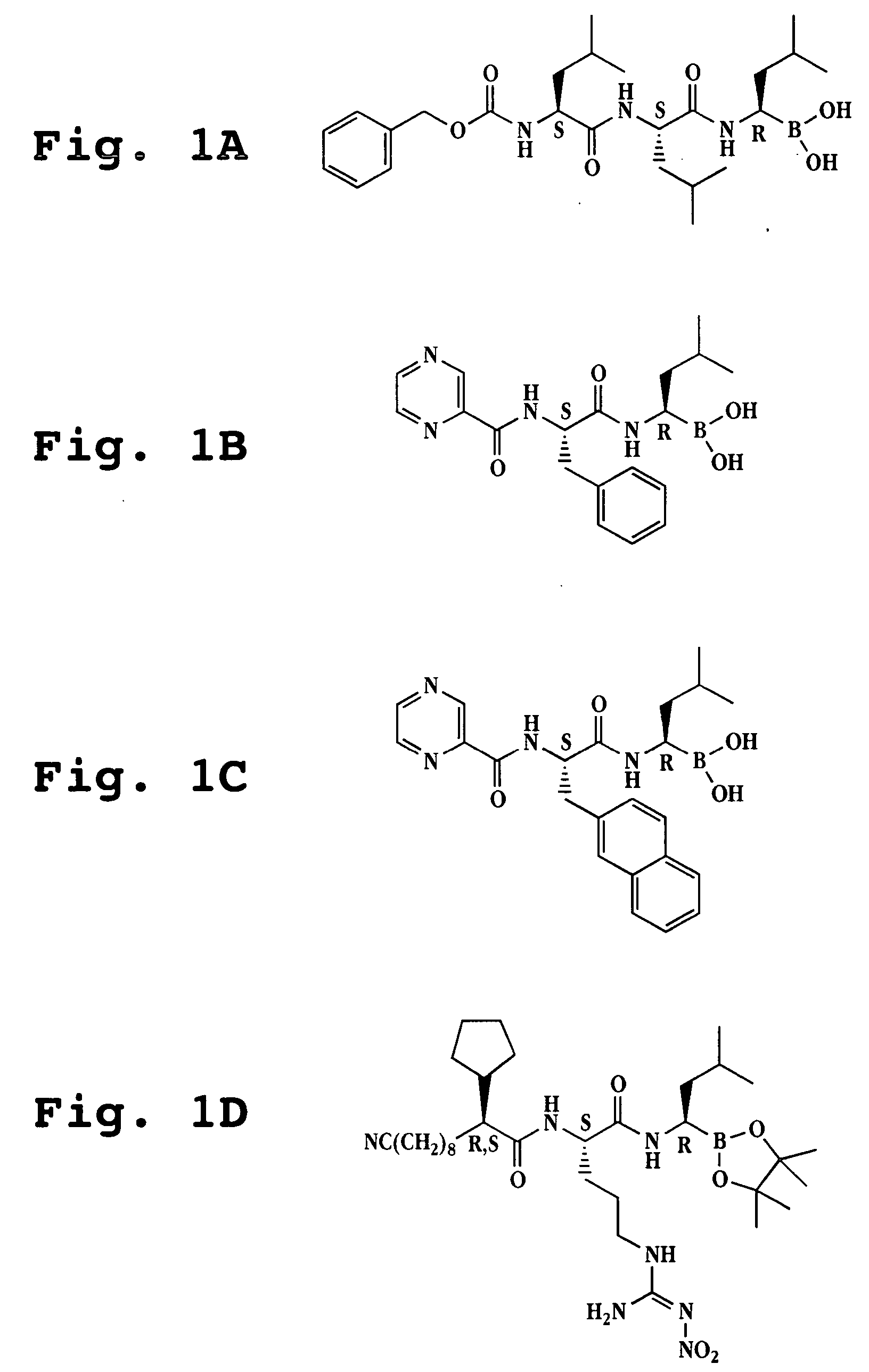 Liposome formulations of boronic acid compounds