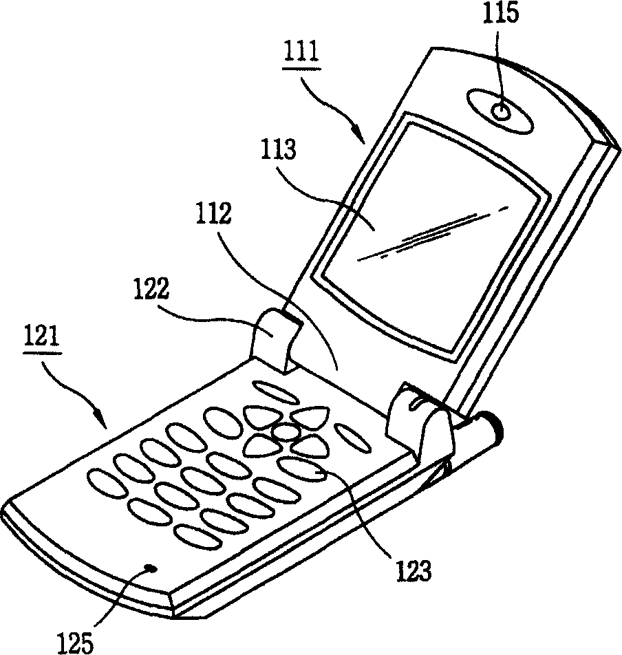 Mobile terminal with earphone
