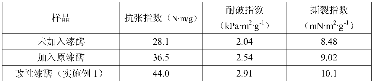 Laccase modification method on basis of amino acid terminal carboxyl group and application thereof