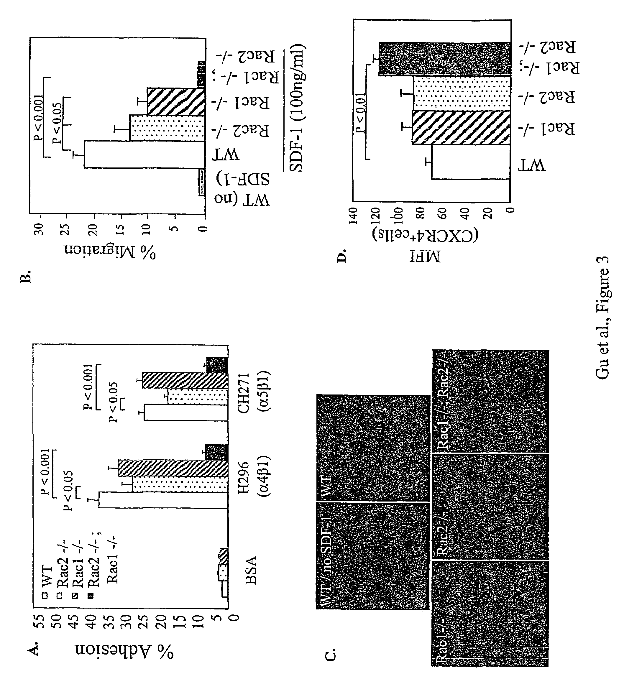 Mobilization of hematopoietic cells