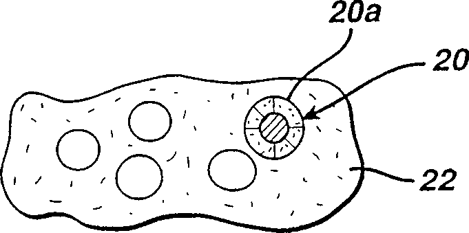 On cell circumferential battery indicator