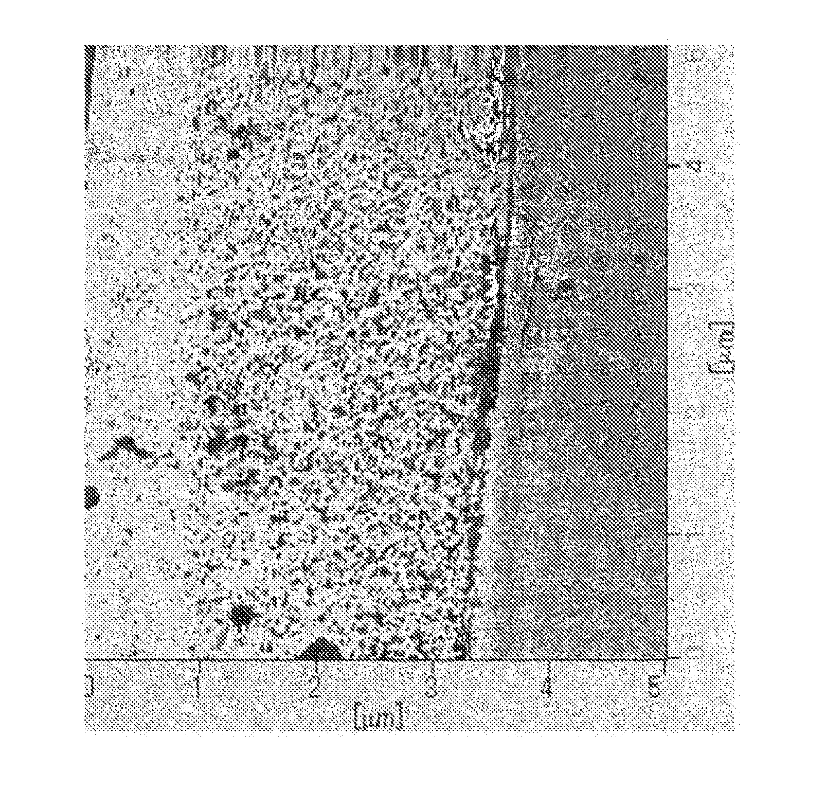 Thermoplastic polymer composition and shaped article composed of the same