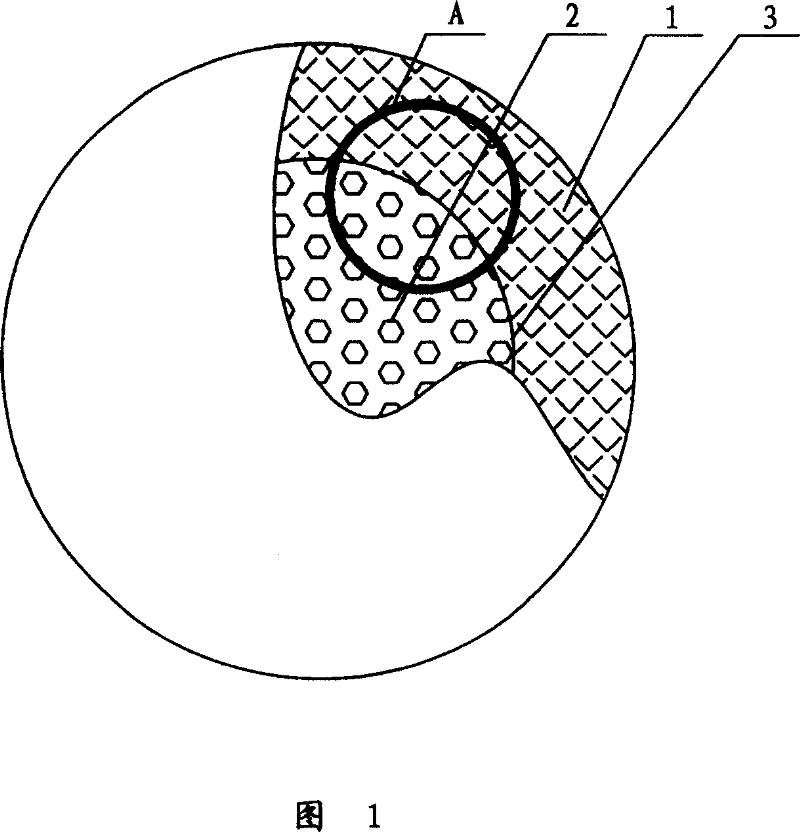 Microporous ceramic ball for comprehensive control of plant growth and its prepn process