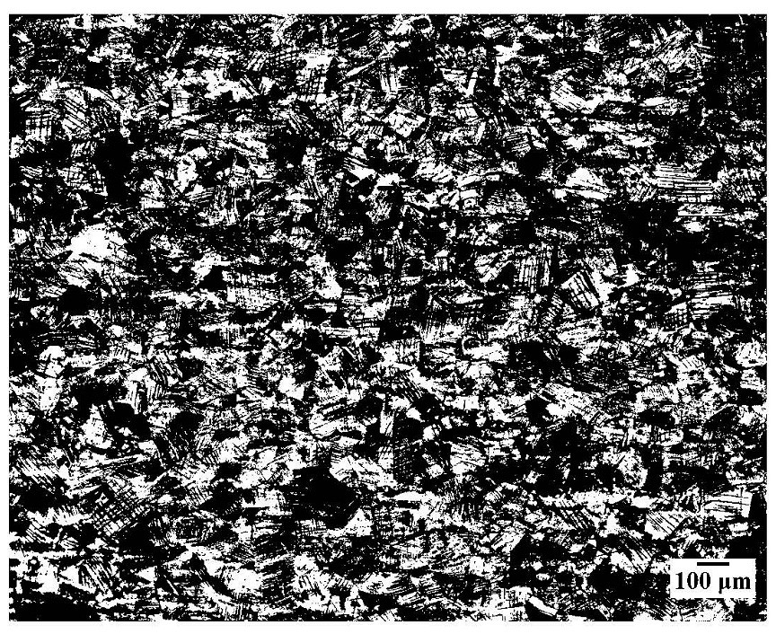 Corrosive agent for metallographic phase of nickel-saving austenitic stainless steel