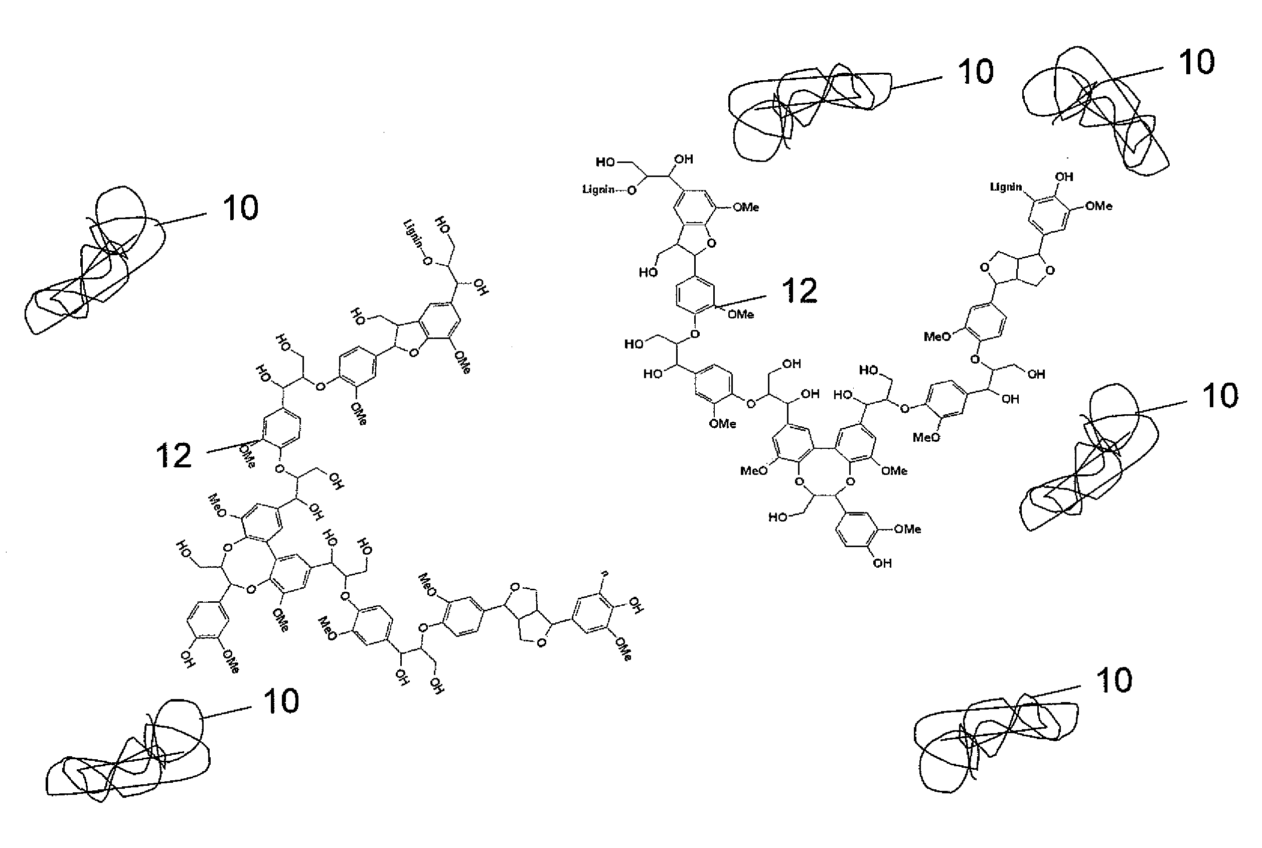 Enzyme recovery sorbent, enzyme recovery unit, lignocellulosic biorefinery, process for recycling enzymes, and renewable material