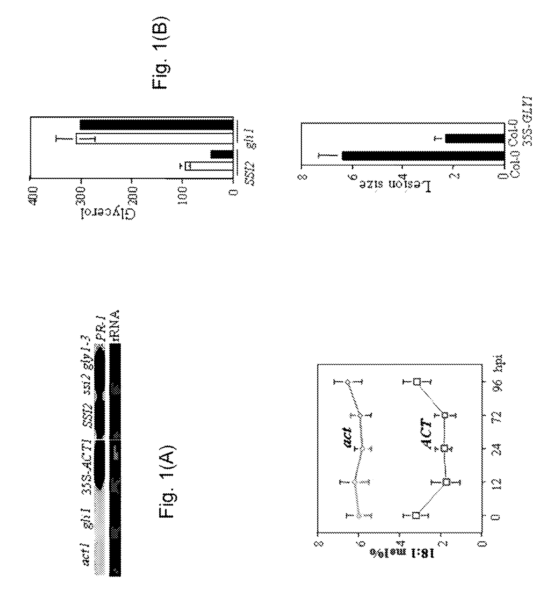 Plants having an enhanced resistance to necrotrophic pathogens and method of making same