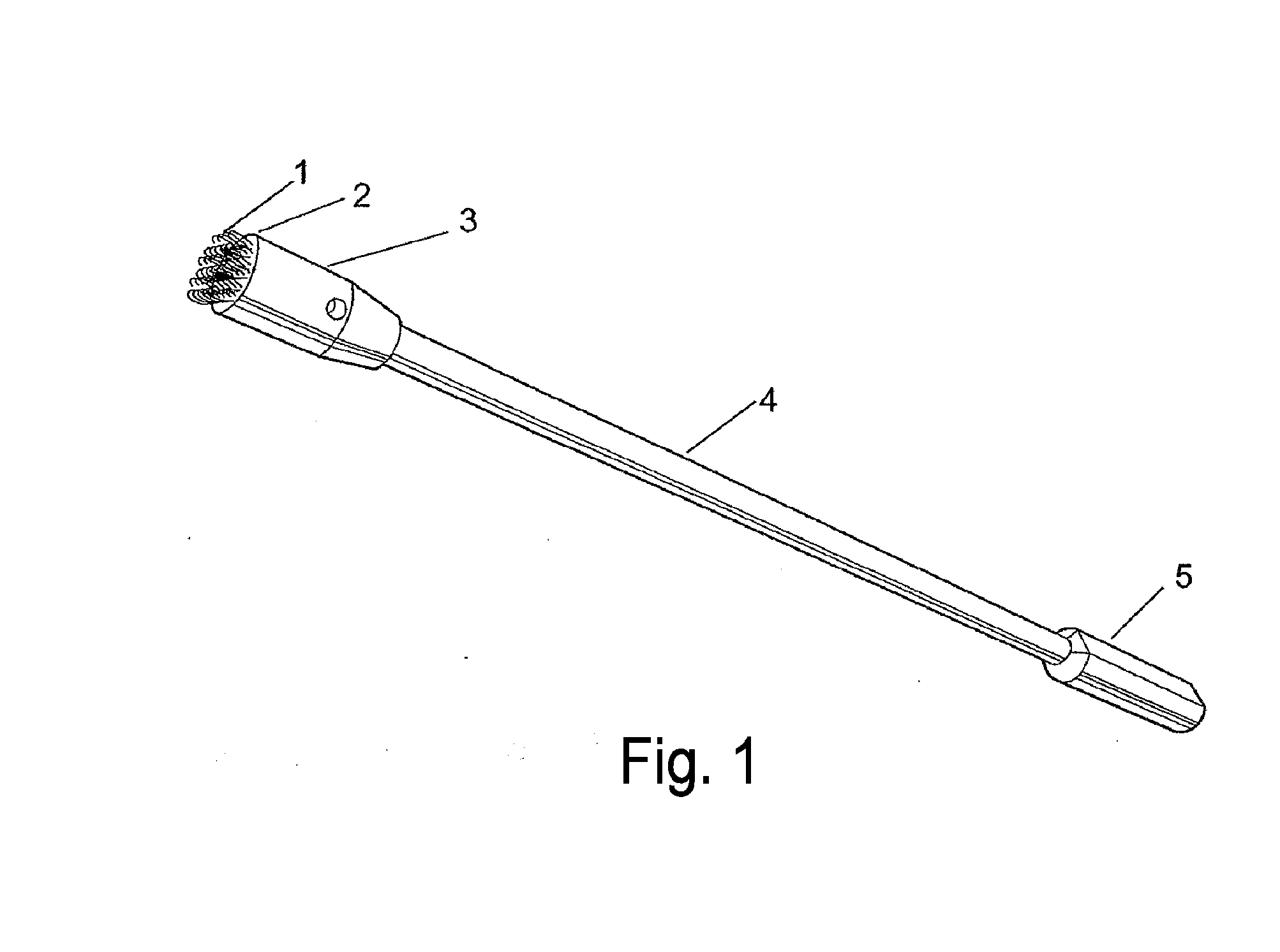 Frictional trans-epithelial tissue disruption and collection apparatus and method of inducing and/or augmenting an immune response