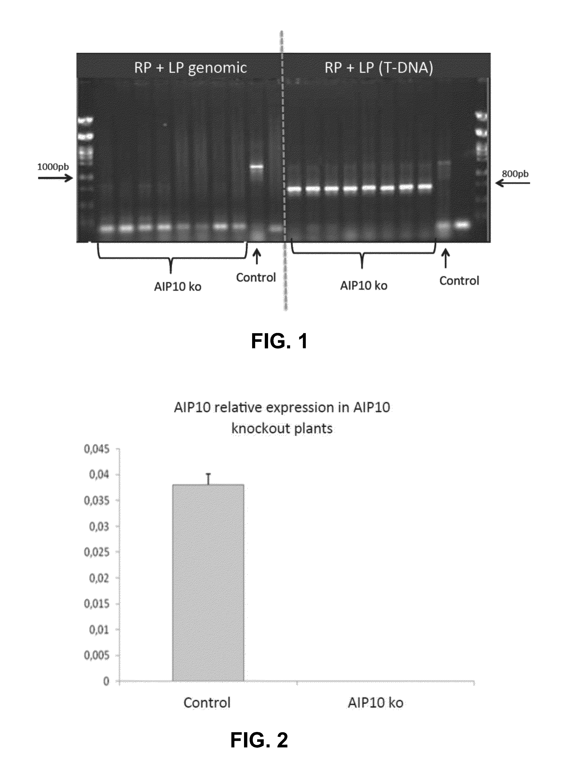 Method for promoting an increase in plant biomass, productivity and drought resistance