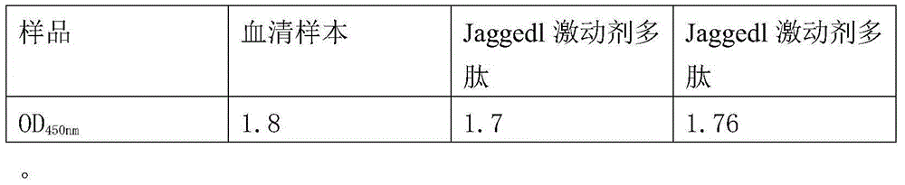 Jagged1 agonist polypeptide and application thereof