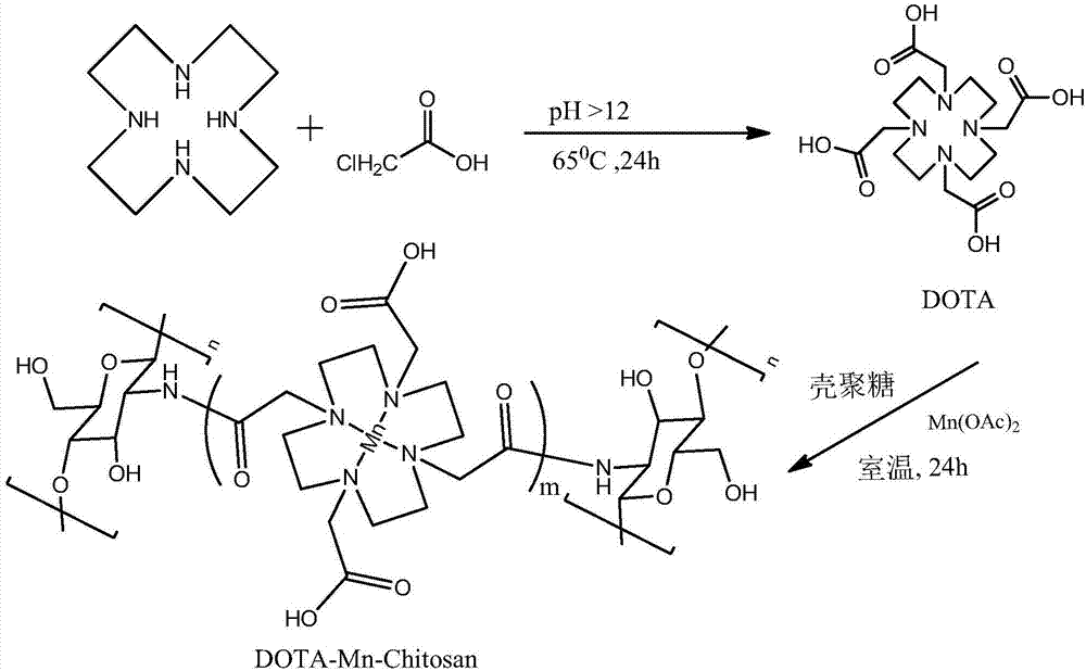 Chitosan composite material modified by tetraaza macrocyclic manganese complex with high SOD (Super Oxide Dismutase) enzyme activity and preparation method thereof