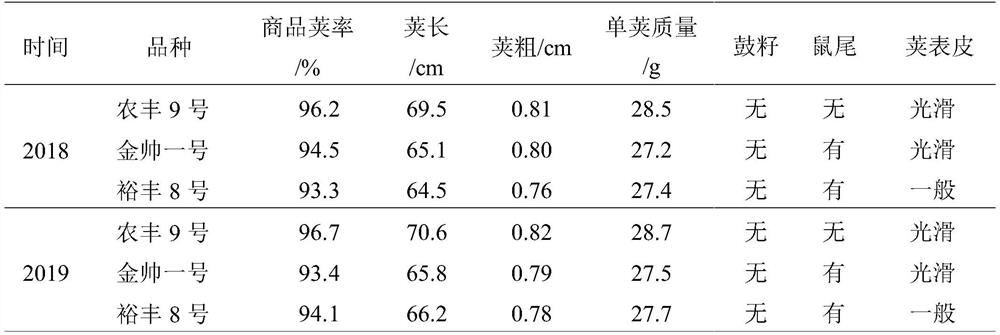 Autumn-delay open-field cultivation method for mid-late-maturing asparagus bean varieties in coastal region of south China