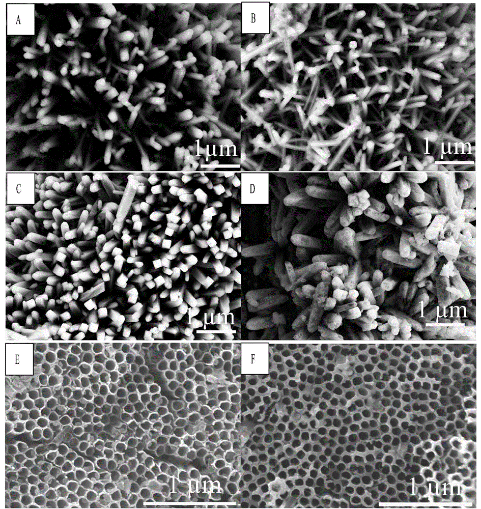 Carbon-coating titanium based nano array material and preparation method and application thereof