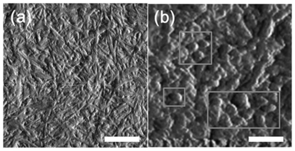 Method for preparing thin high-strength composite heat-conducting functional film of sandwich structure