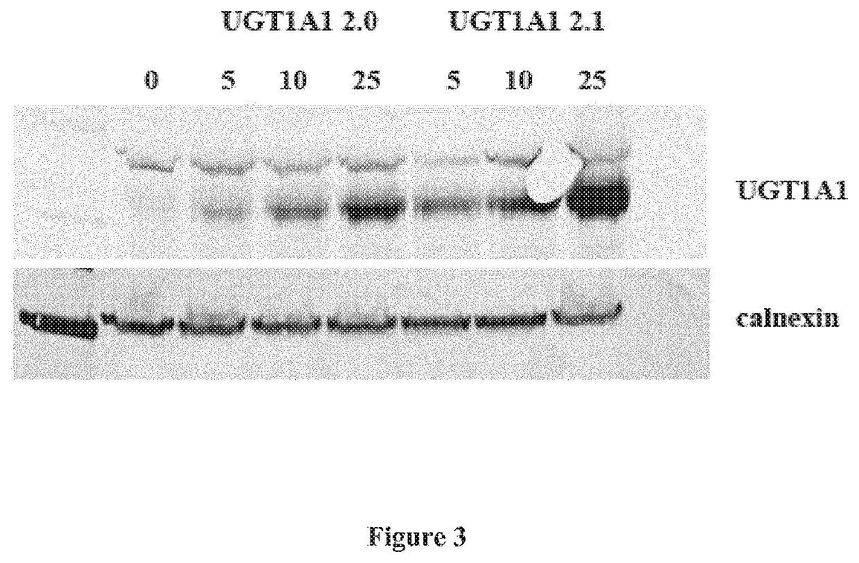 Treatment of hyperbilirubinemia