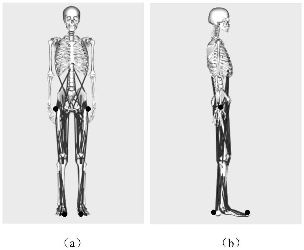 Specific environment operator gait stability detection method and application