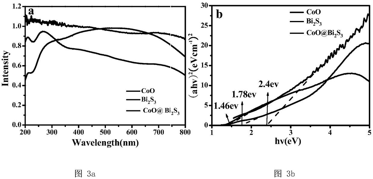 3D chrysanthemum-like Z type Bi2S3@CoO heterojunction composite catalyst as well as preparation method and application thereof