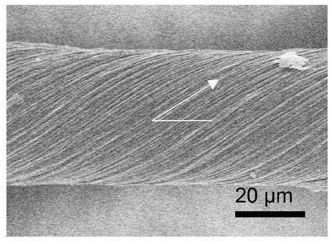 Horizontally oriented carbon nanotube array and preparation method thereof