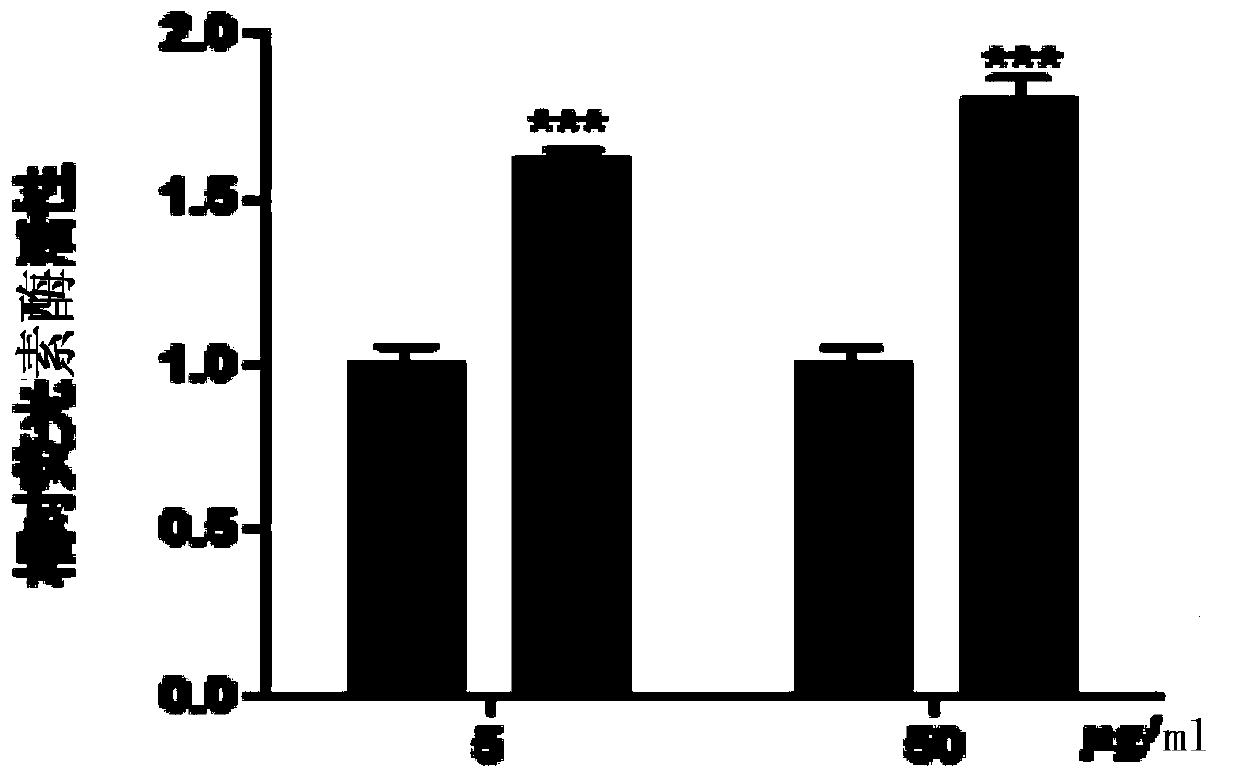 A class of ultrashort peptides for promoting collagen secretion and its application