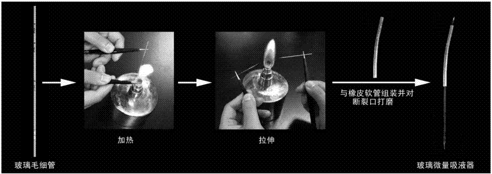 A kind of preparation method and application of glass micropipette