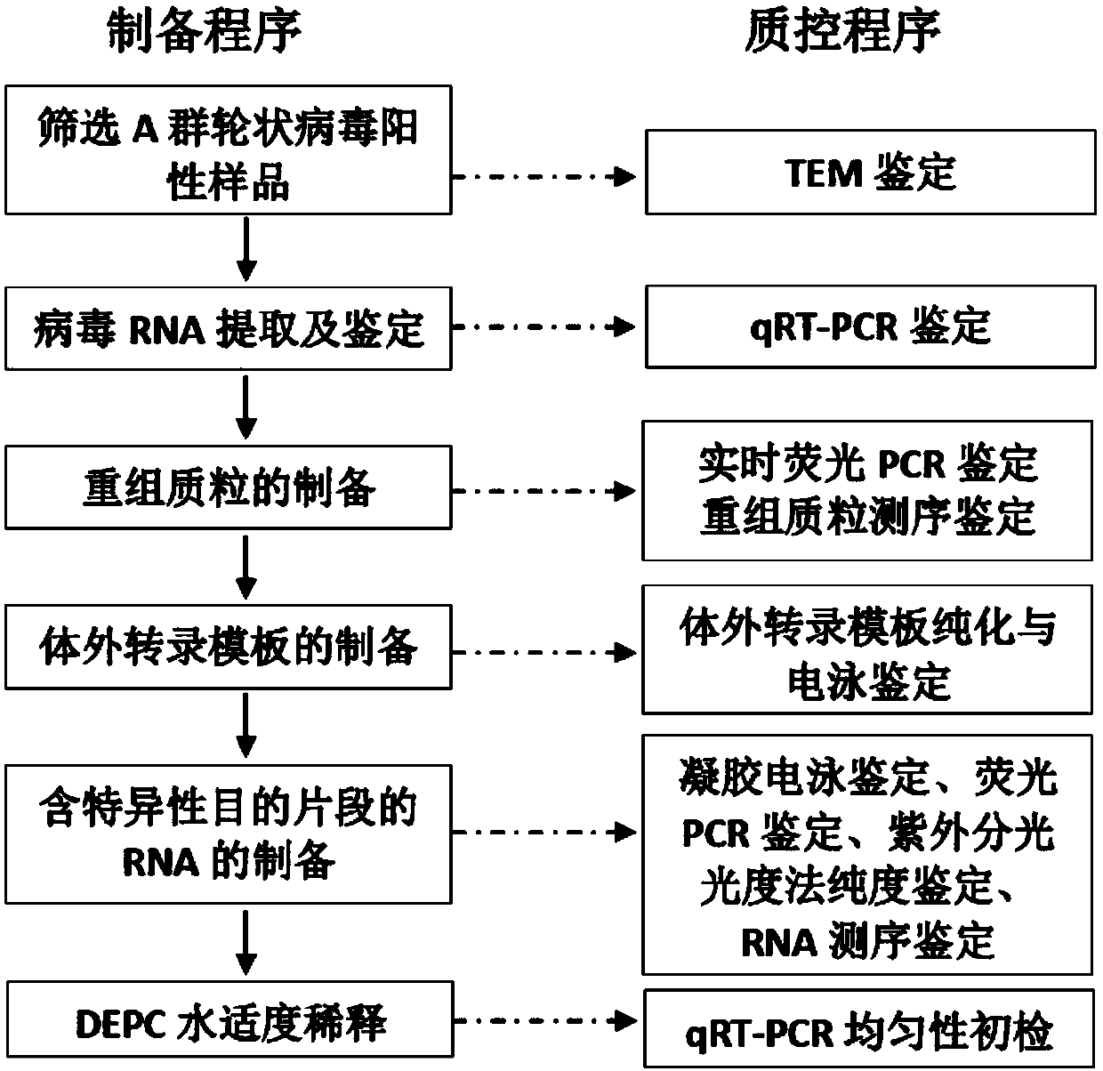 Nucleic acid test standard substance for rotavirus group A and preparation method and application thereof