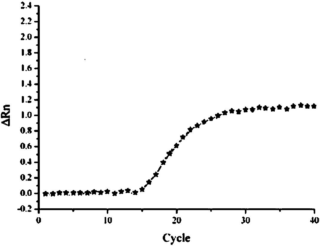 Nucleic acid test standard substance for rotavirus group A and preparation method and application thereof