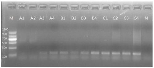 Lysis solution, extraction solution, lysis and extraction methods, kits and applications, PCR system