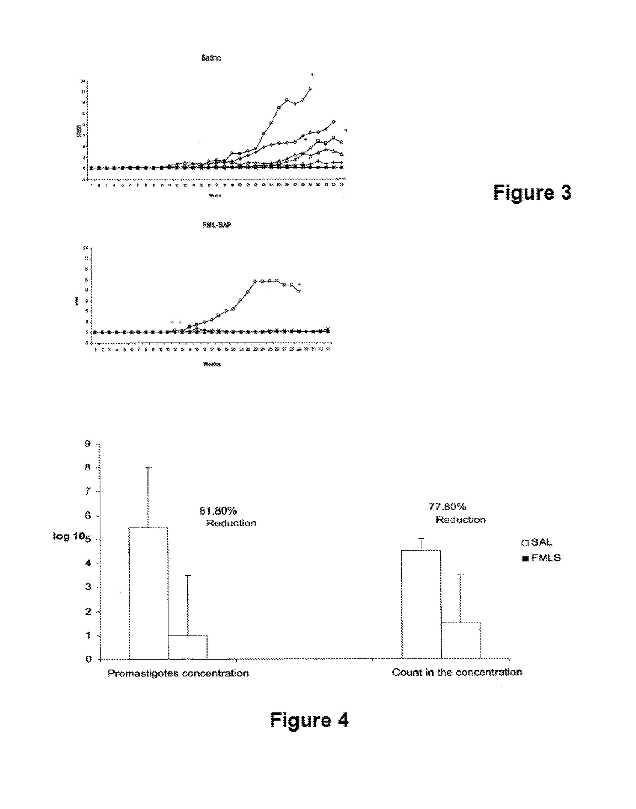 Process and composition for treatment of canine and human leishmaniasis