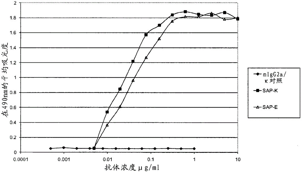 Antigen-binding protein specific for serum amyloid P component