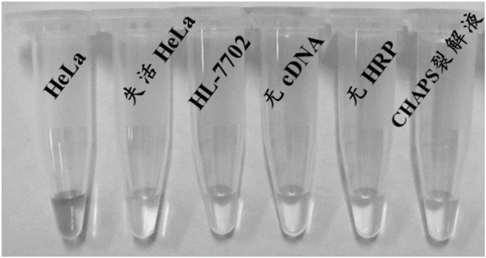 Telomerase-activity colorimetric detection method