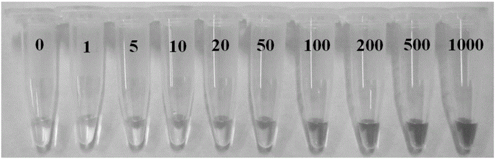 Telomerase-activity colorimetric detection method