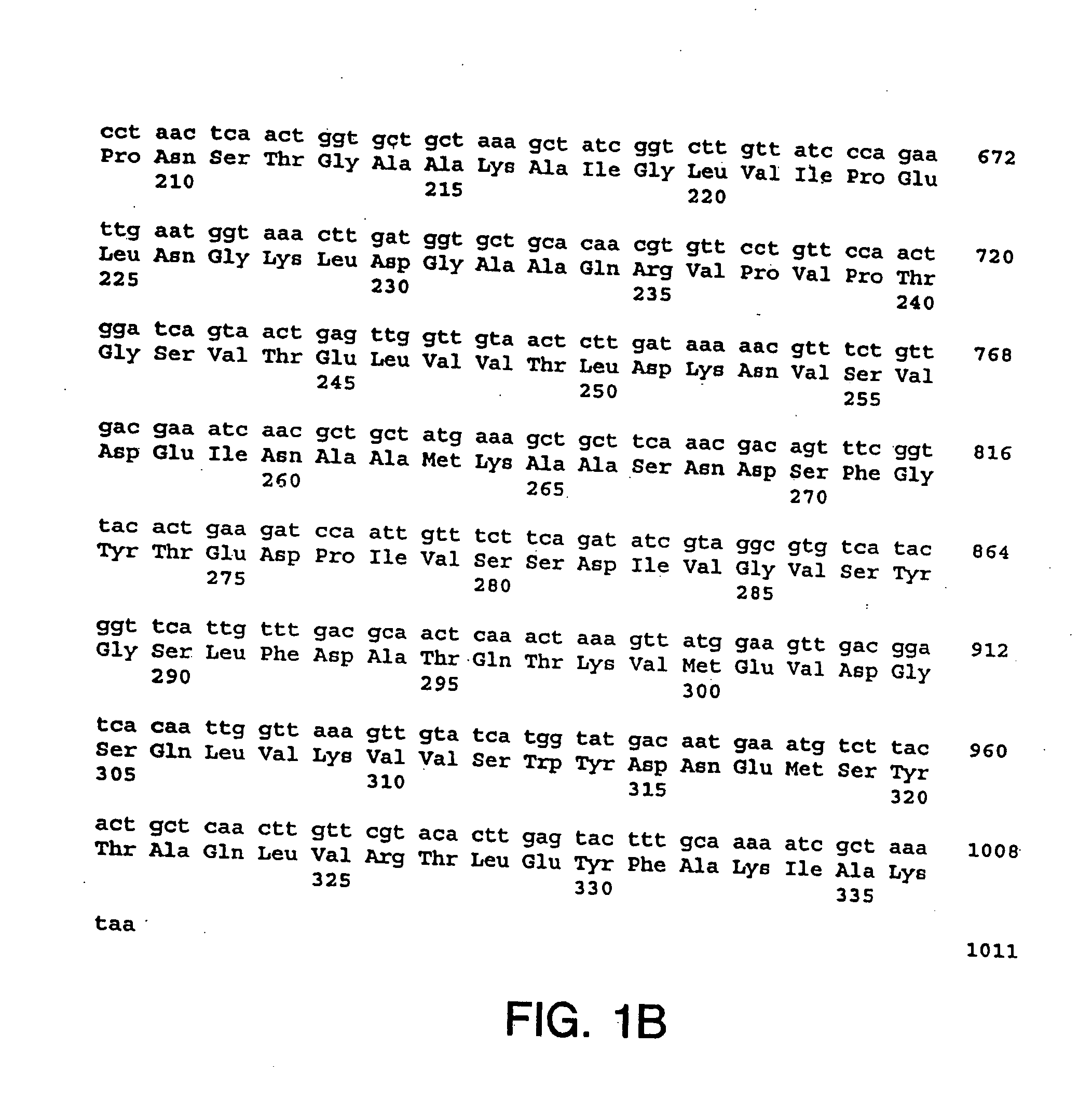 Immunization of dairy cattle with GapC protein against streptococcus infection