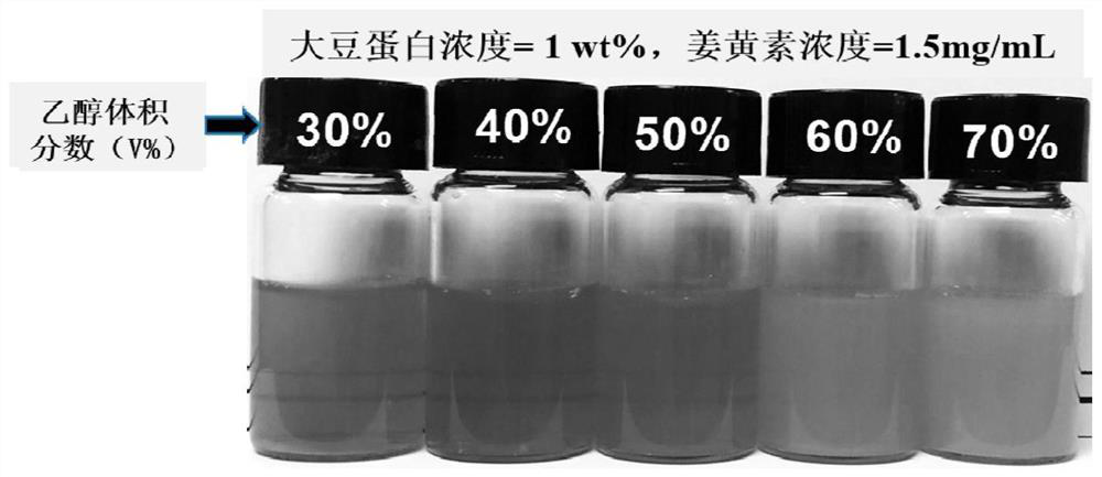 A preparation method of protein-based nanoparticles of solubilization and synergistic insoluble bioactive substances