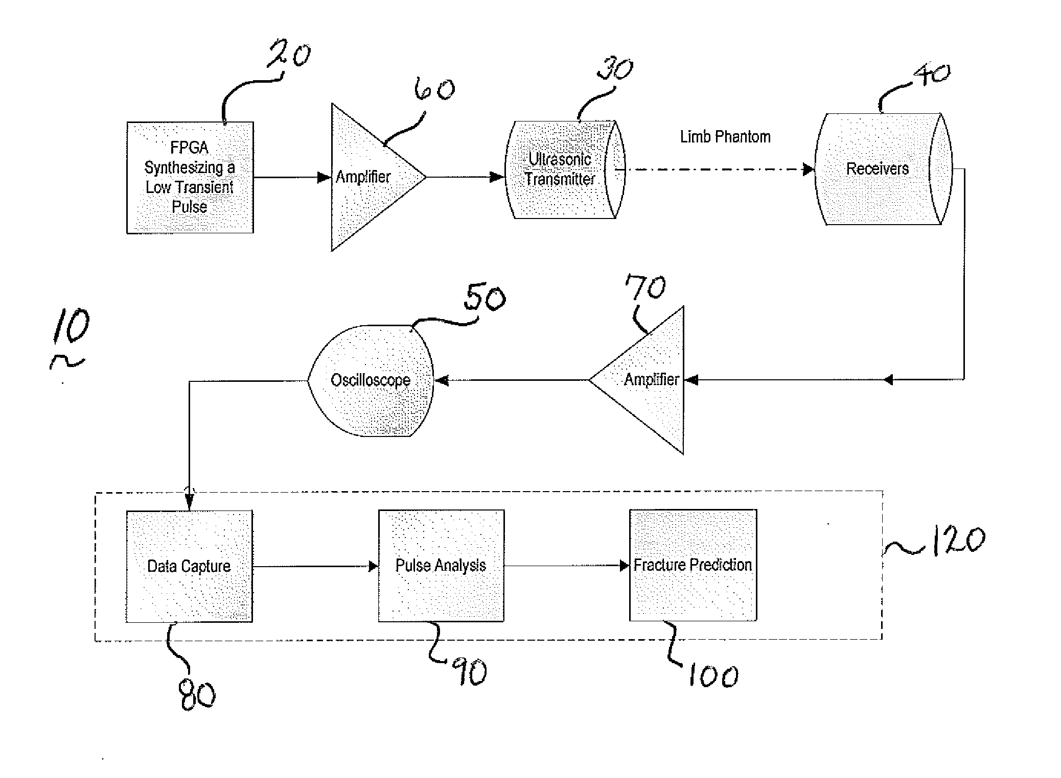 System and method for ultrasound analysis of biological structures