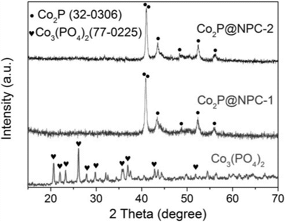 Oxygen reduction and oxygen evolution cobalt phosphide@NPC double-function compound catalyst and preparation method and application thereof