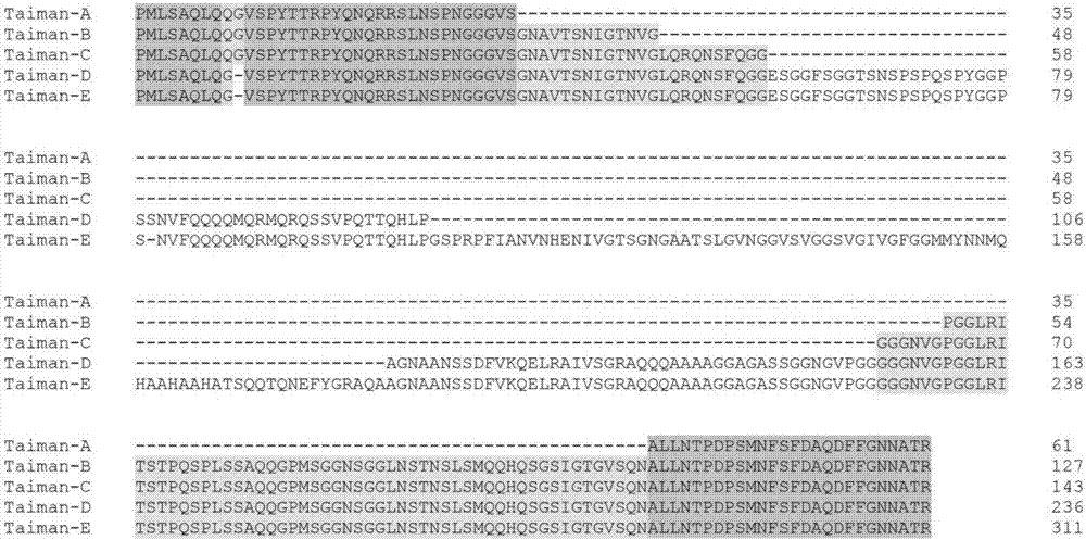 A bactrocera dorsalis Taiman gene, a detecting method of variable spliceosomes thereof and dsRNA of the gene