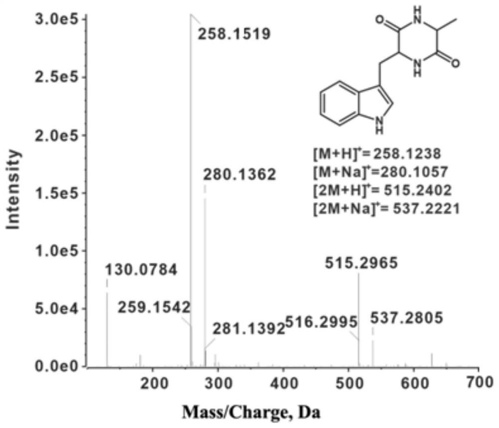 Method for preparing L-tryptophan-L-alanine cyclic dipeptide by using aspergillus oryzae