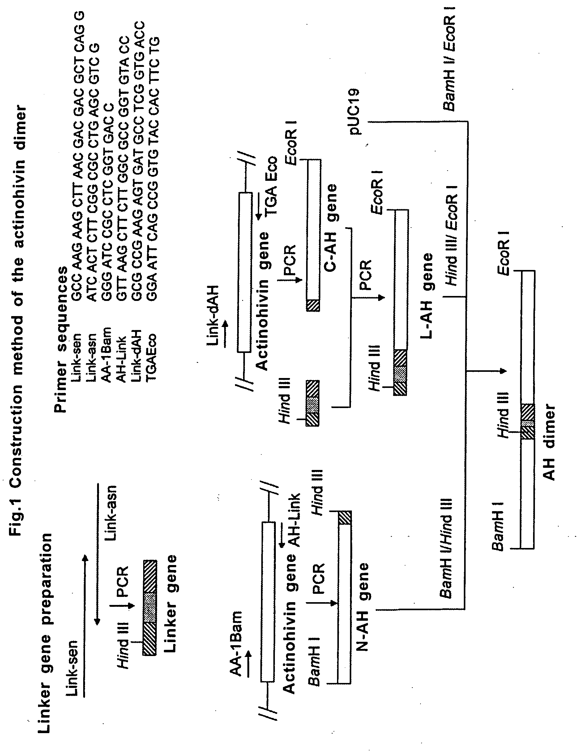 Anti-Hiv Drug, Polypeptide Constituting the Same, Gene Encoding the Polypeptide and Method of Producing the Anti-Hiv Drug