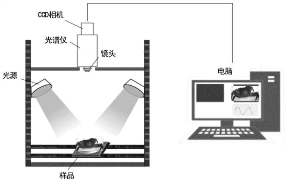 A method for detecting the maturity degree of Chinese mitten crab based on multispectral image technology