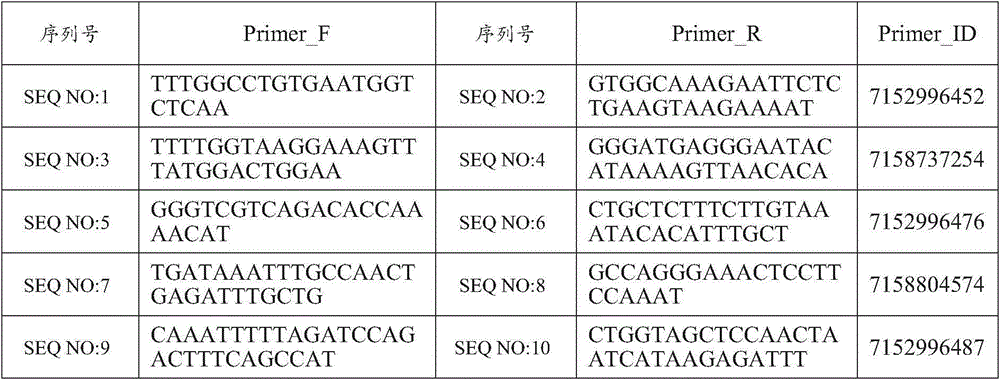 BRCA gene susceptibility SNP locus detection composition