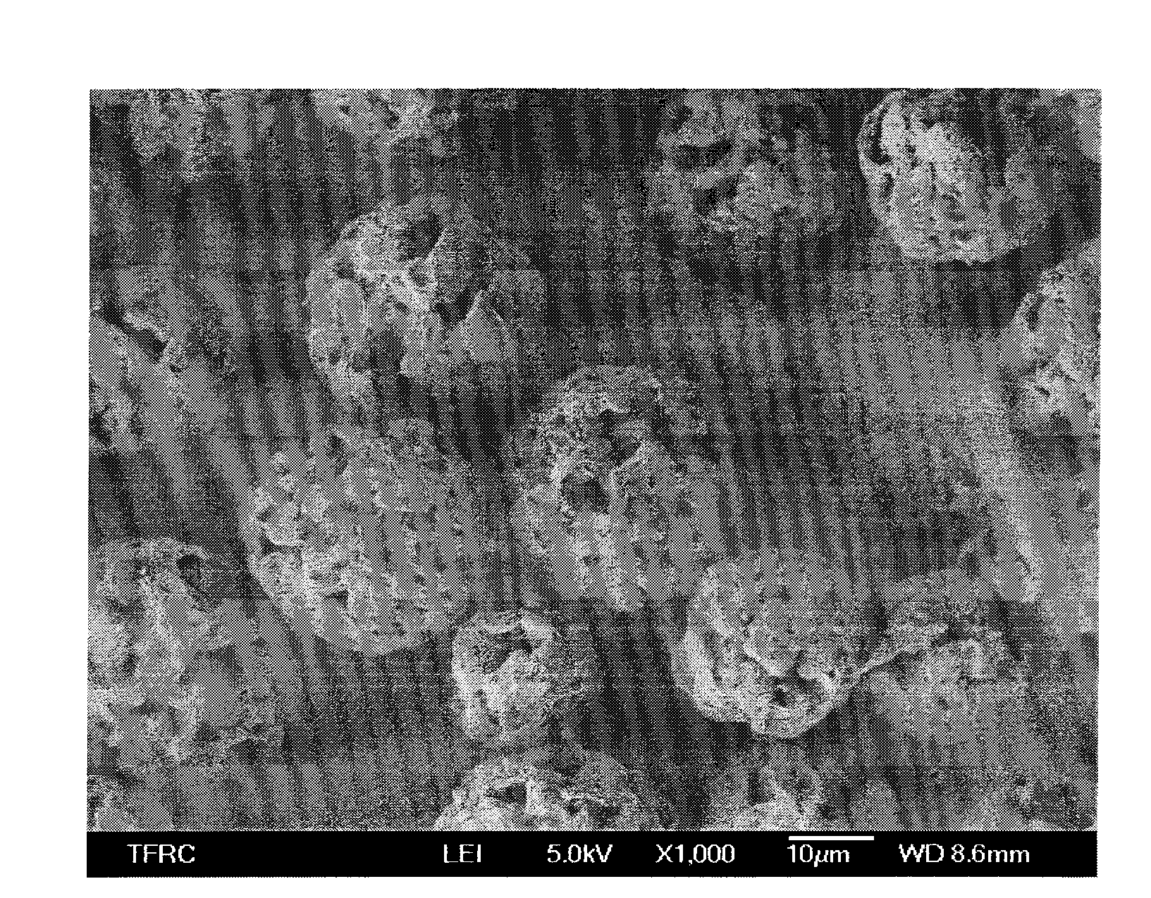 Porous polylactic acid particles and preparation method thereof