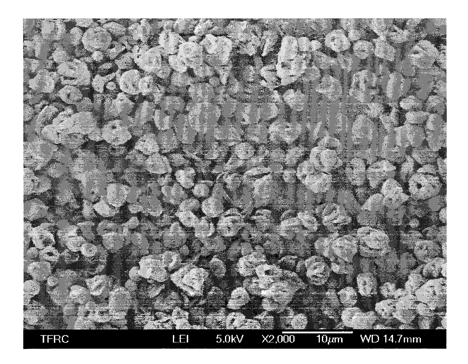 Porous polylactic acid particles and preparation method thereof