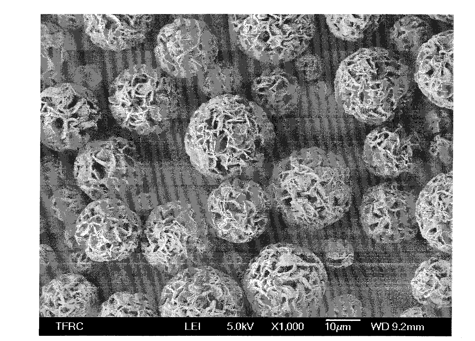 Porous polylactic acid particles and preparation method thereof