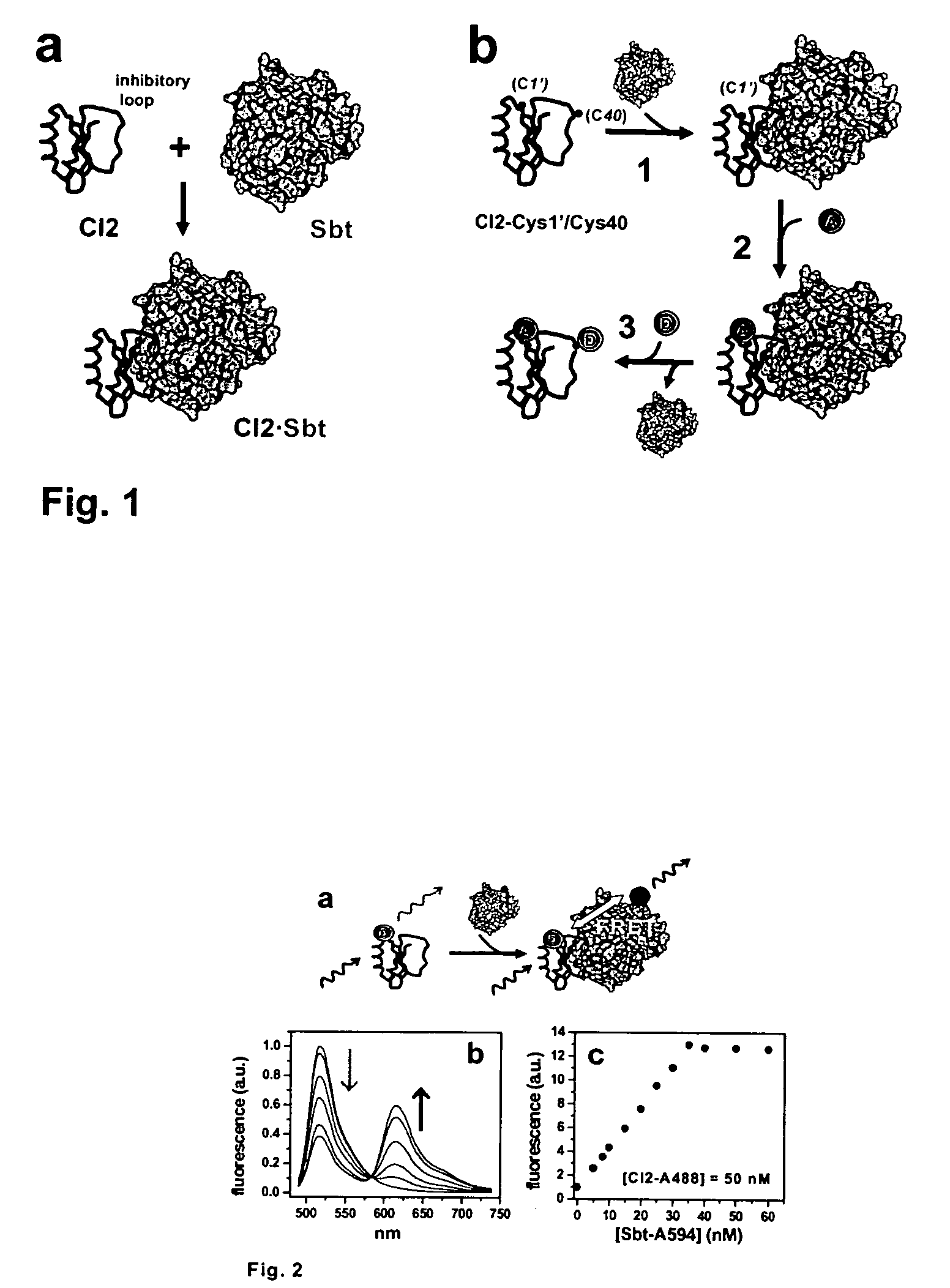 Method for site-specific protein modifications