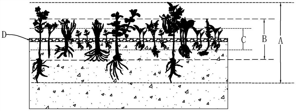 A construction method of shade-tolerant plant communities in pseudo-natural ecological landscapes in North China