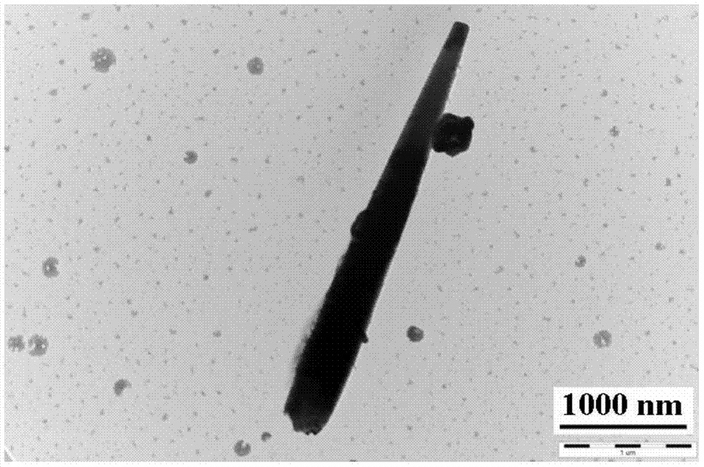 Functional synthetic fiber capable of removing formaldehyde and preparation and application of fiber