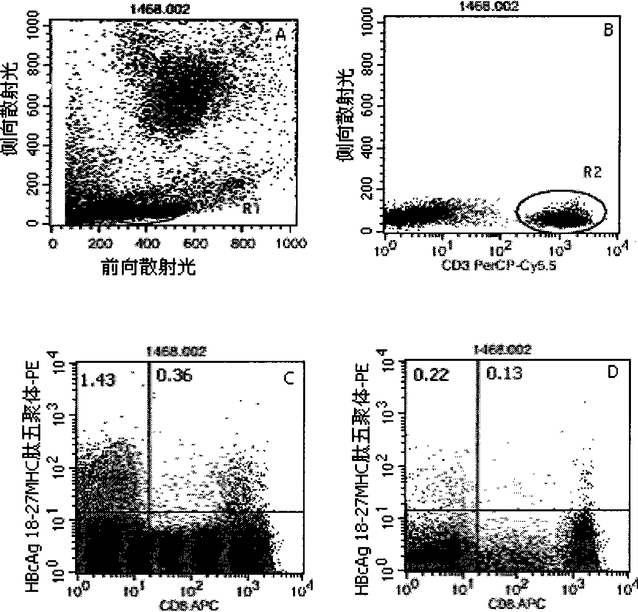 Quantitative determination method for hepatitis b virus specificity cell toxicity T lymphocyte